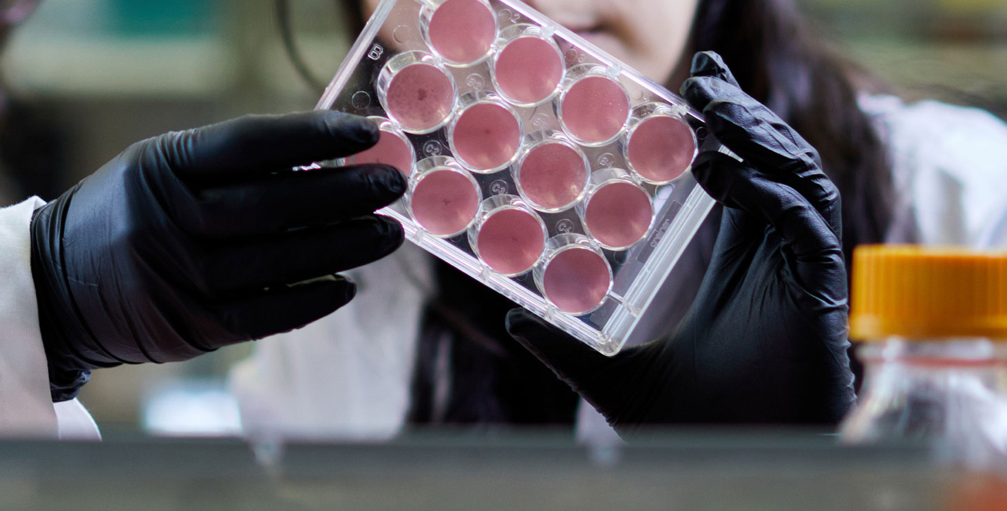 Back to all foundation news