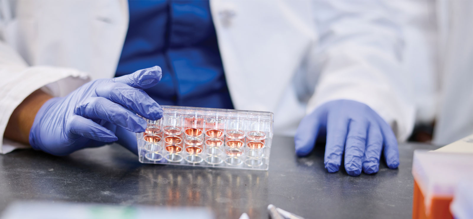 Empower Your
Research Journey